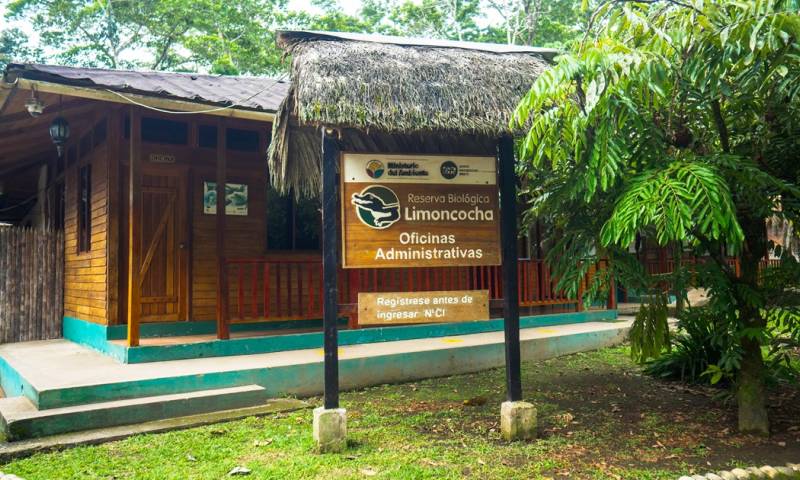 WWF declaró que “las áreas protegidas se han vuelto víctimas del crimen organizado” / Foto: El Oriente