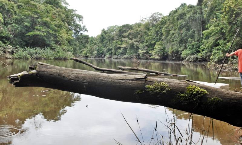 "Ecuador es uno los diecisiete países megadiversos del mundo y es el primero si se considera la densidad existente por cada metro cuadrado" / Foto: EFE
