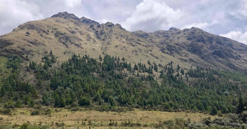 En septiembre, decenas de miles de personas se manifestaron en Cuenca para expresar su rechazo al proyecto / Foto: cortesía Forbes Ecuador