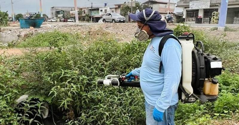 Las campañas de fumigación contra el dengue continúan a nivel nacional / Foto: cortesía Ministerio de Salud