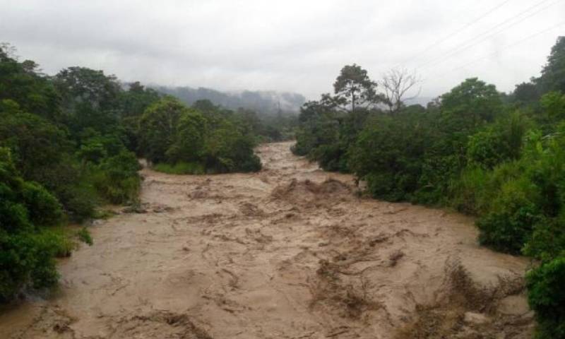 Foto: Vistazo