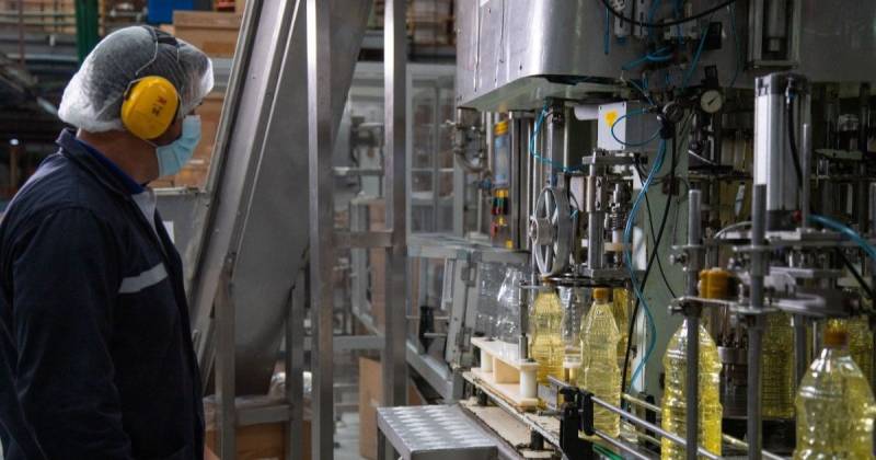 La certificación reconoce a organizaciones que implementan proyectos con impactos verificables en los ámbitos ambiental, social y económico / Foto: cortesía