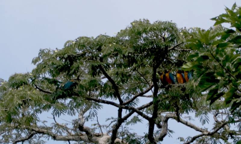 Foto: El Oriente