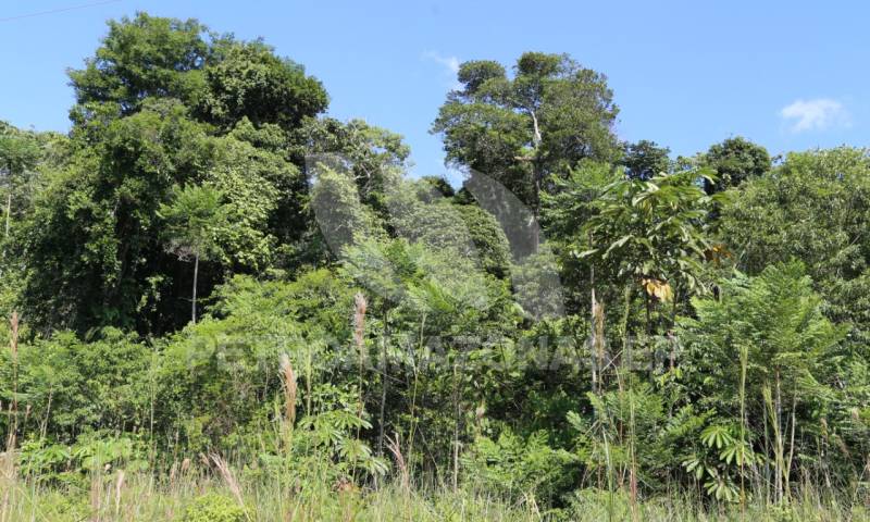 Foto: Petroamazonas