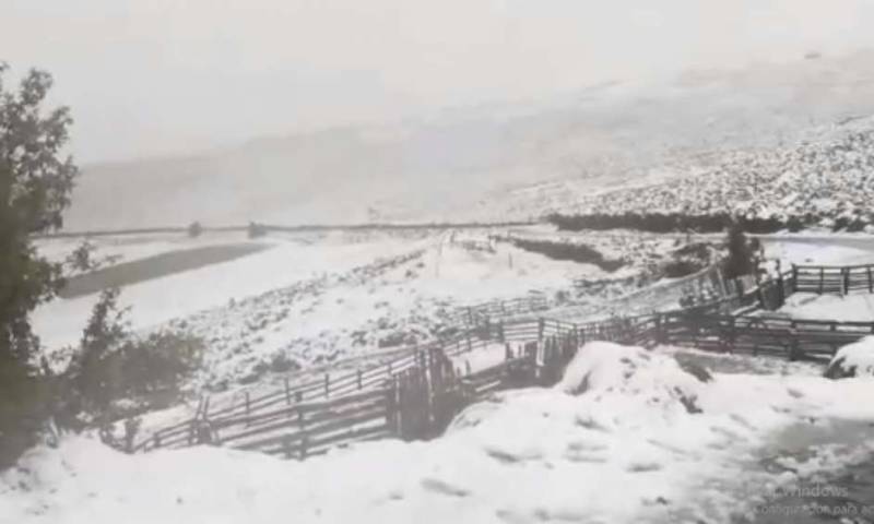Foto: El Telégrafo 