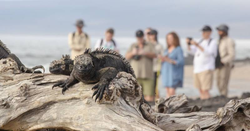 Desde que octubre de 2024 están vigentes las nuevas tasas de ingreso al Parque Nacional Galápagos / Foto: cortesía Parque Nacional Galápagos