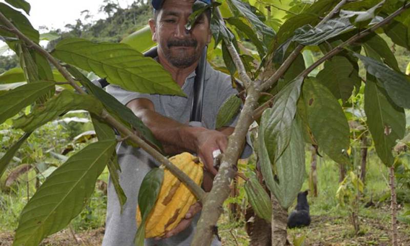 Foto: El Telégrafo