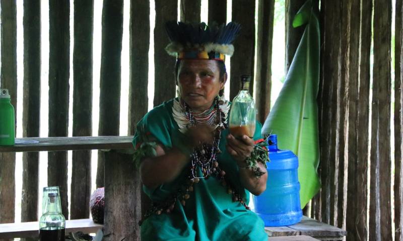 En la Amazonía ecuatoriana, se despierta con el ancestral rito de la toma de guayusa / Foto: El Oriente