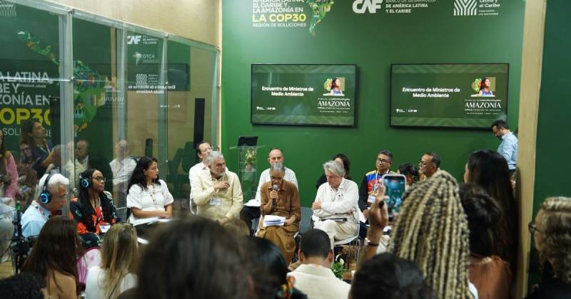 El objetivo de la OTCA es producir mapas regionales de deforestación y de los cambios del uso del suelo / Foto: cortesía CAF