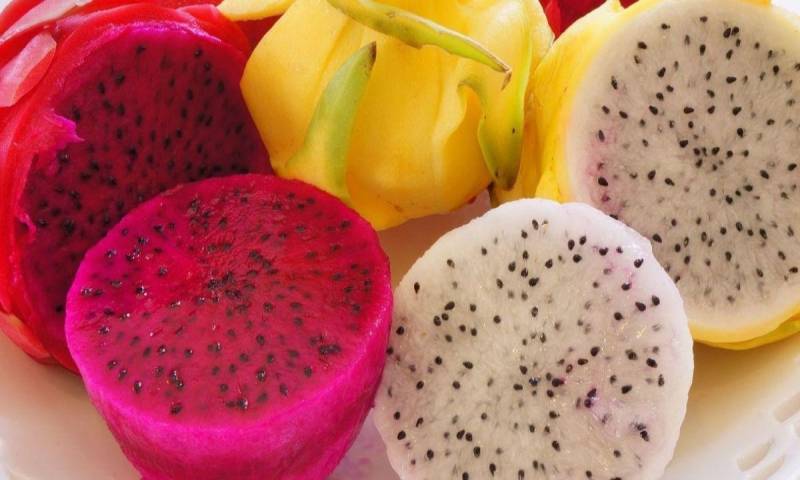 La medida favorece principalmente a sectores agrícolas, pesqueros y mineros / Foto: cortesía Camae