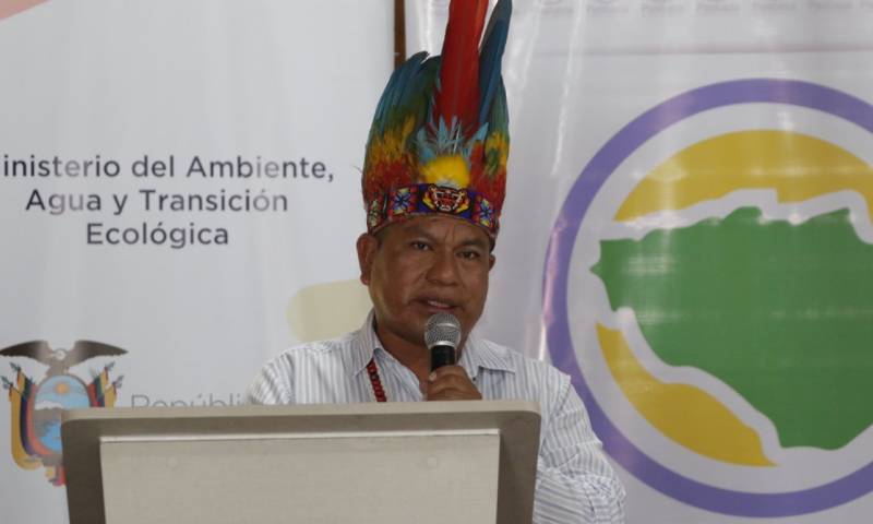 Con la implementación de los procesos de restauración forestal en Arajuno, aproximadamente 250 familias se beneficiarán / Foto: cortesía ministerio de Ambiente