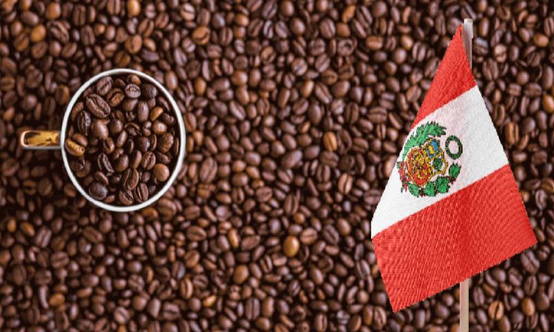 En 2025, el cacao superó los $ 6,000 por tonelada y el café alcanzó precios récord / Foto: cortesía Point Andina