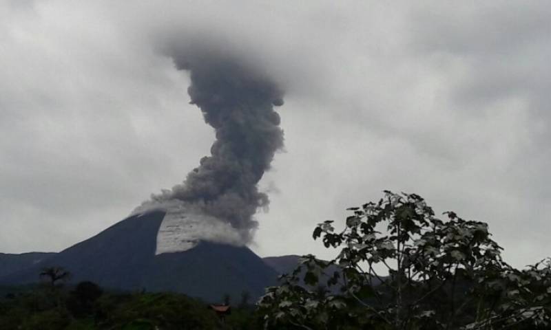 Foto: Expreso