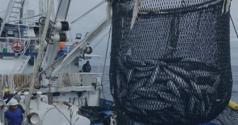 Su incremento "afectará la competitividad del Ecuador en mercados estratégicos como la Unión Europea" / Foto: cortesía