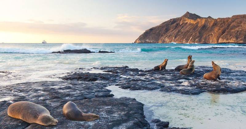 Galápagos es Patrimonio Natural de la Humanidad desde 1978 / Foto: cortesía Viceministerio de Turismo