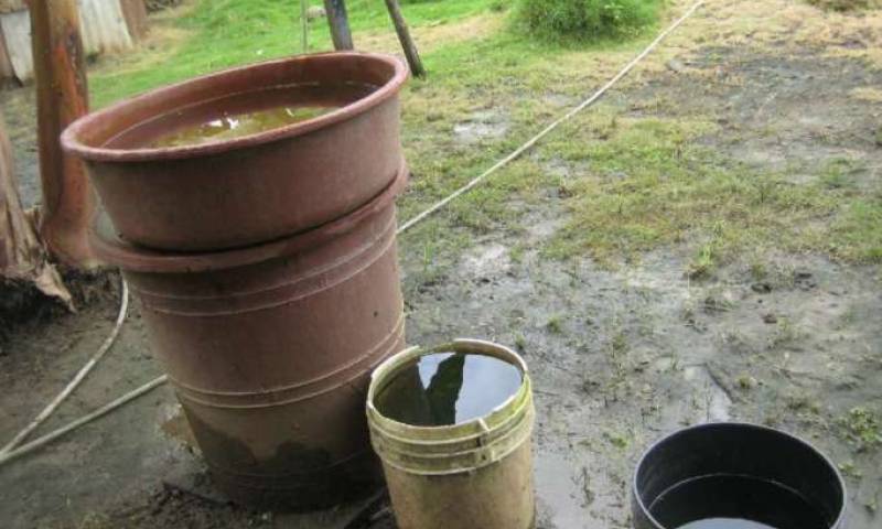 Nunca deje que el agua se estanque en llantas o en baldes, allí se instala el insecto transmisor. Foto: La Hora