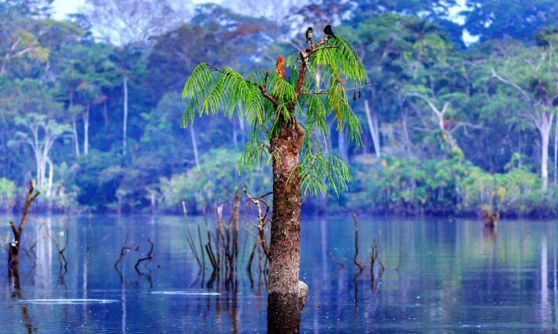 Foto: El Telégrafo