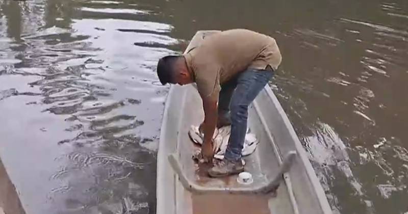 El episodio afecta cerca de diez kilómetros del río / Foto: cortesía Ecuavisa