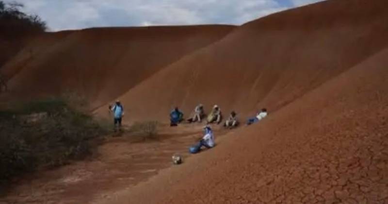 El fósil fue analizado por especialistas de la Universidad Nacional Mayor de San Marcos y de la Universidad de Michigan / Foto: cortesía Andina
