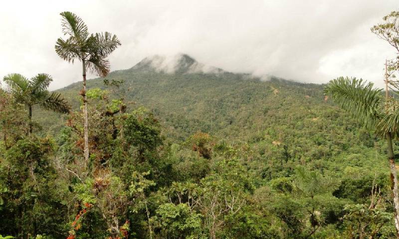 La Cordillera del Cóndor aún es una zona desconocida para los investigadores. Foto: La Hora