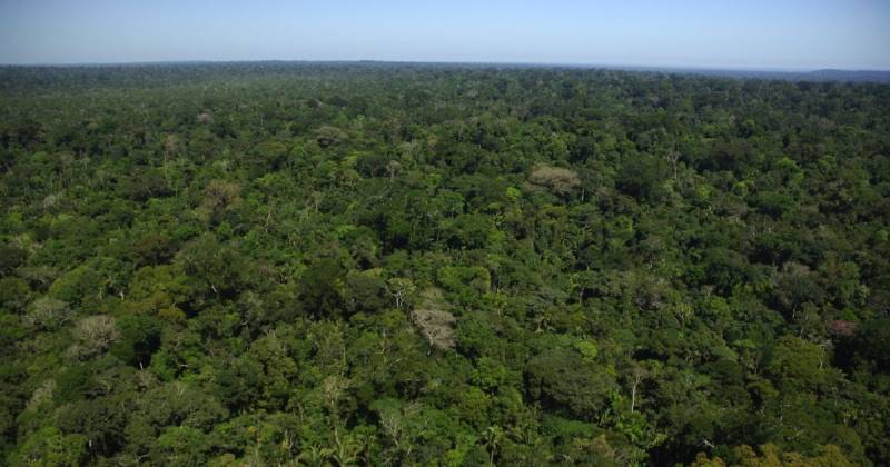  El Gobierno declaró toda la región como Reserva de Recursos Naturales Renovables / Foto: cortesía WWF Colombia