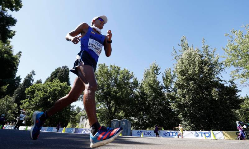 El Comité Olímpico Ecuatoriano anunció que Vargas y Pintado encabezarán la delegación de 219 deportistas durante las competencias en la capital paraguaya / Foto: EFE