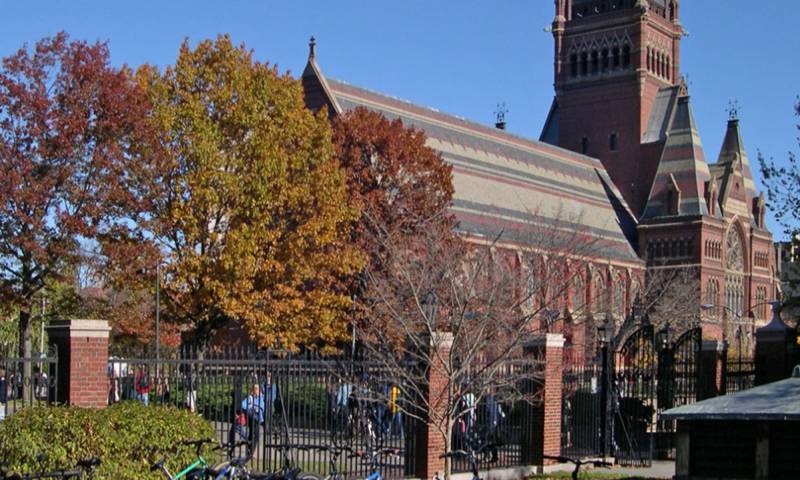 Growth Lab de Harvard asesorará al país en una estrategia que busca elevar productividad, empleo formal y diversificación productiva./ Foto: cortesía