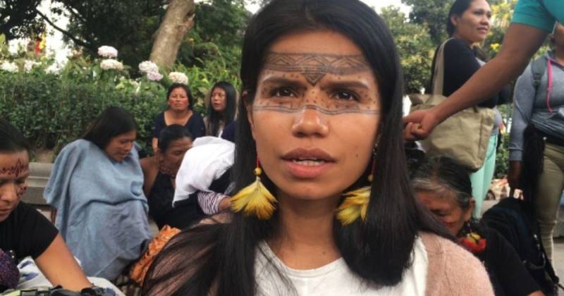 Uno de los avances más visibles es la recuperación del 'wayuri', una planta clave para los techos de las viviendas tradicionales. / Foto: EFE