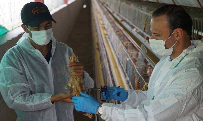 Desde hace 3 meses, Ecuador no reporta nuevos caso / Foto: cortesía MAG