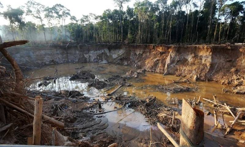 En zonas de alta biodiversidad, ya se reportan bosques deforestados y presencia creciente de campamentos mineros / Foto: cortesía