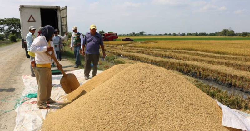 Entre los productos sujetos al arancel se encuentran alimentos como frijoles, arroz, plátanos, aceites y azúcar, entre otros / Foto: cortesía Camae