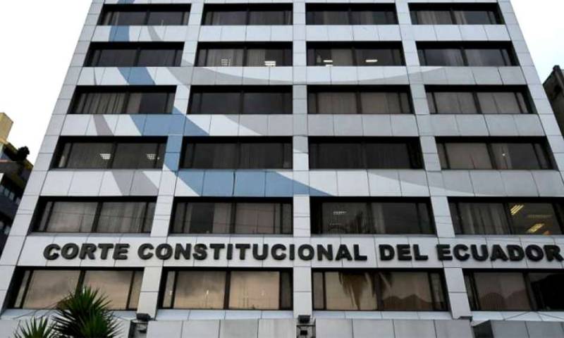 Los nuevos integrantes del organismo asumirán sus funciones en la primera quincena de enero. La mayoría de causas represadas son de protección. Foto: El Telégrafo