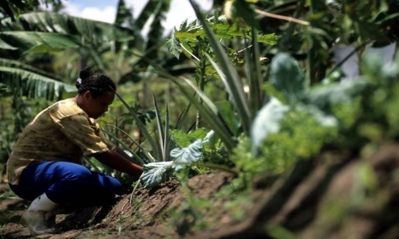 Sin embargo, las provincias de El Oriente tienen bajas tasas de empleo adecuado / Foto: cortesía BID