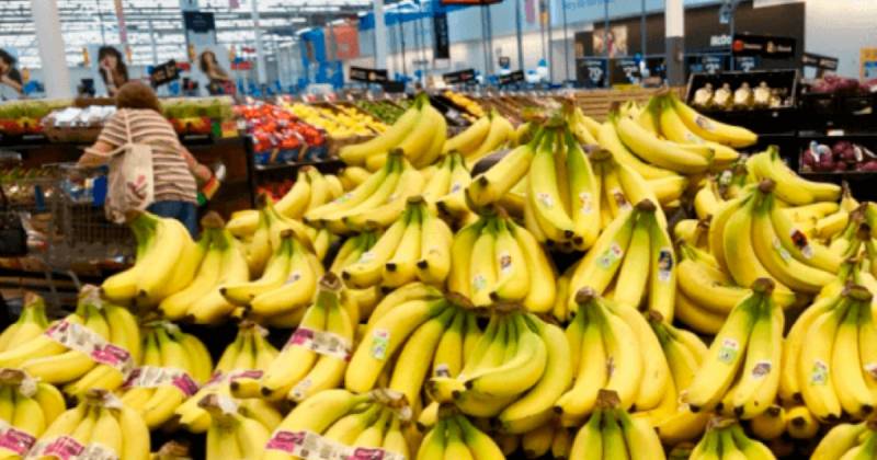 El banano es uno de los productos estrella de Ecuador en Estados Unidos / Foto: cortesía Banana Export