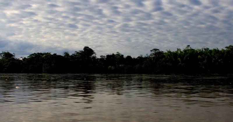 'Come to the Rainforest' es una organización que opera en la región amazónica ecuatoriana desde 2010 / Foto: El Oriente