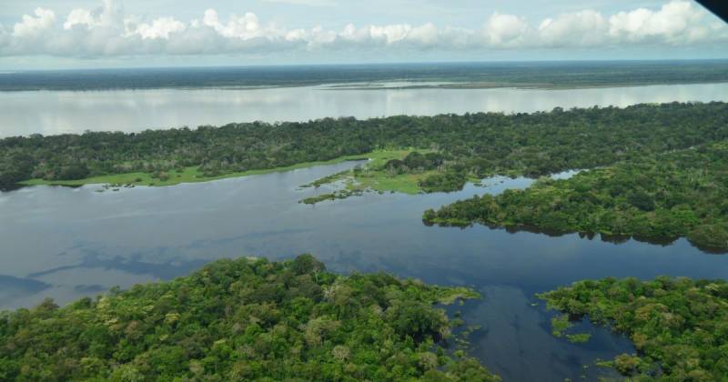 Estas designaciones son resultado de un proceso técnico que evaluó más de 300 posibles zonas en Sudamérica / Foto: cortesía InfoAmazonía