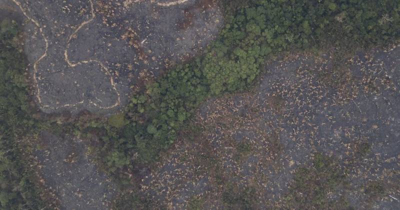 La Amazonía ha sido el bioma más afectado por la minería / Foto: EFE