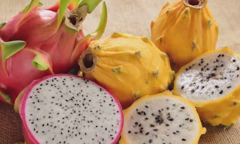 Las provincias con mayor producción de esta fruta son Morona Santiago, Pichincha, Manabí y Guayas/Foto: cortesía Agrocalidad