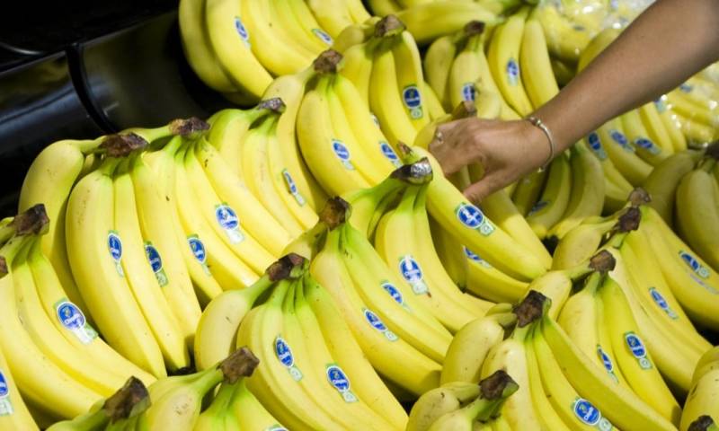 Dole es el principal exportador de banano de Ecuador, seguido de Reybanpac, Noboa Trading, Frutadeli y Comersur / Foto: cortesía