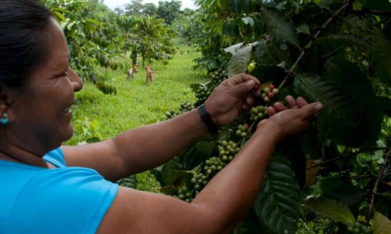 Foto: El Telégrafo 