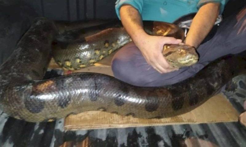 Foto: NotiAmazonía