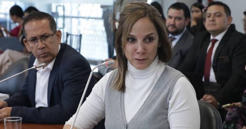 La directora de Asuntos Internacionales y Arbitraje de la Procuraduría General del Estado analizó el caso./ Foto: cortesía: Asamblea