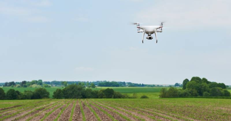 Los drones realizan mapeo y fumigación de precisión, evitando daños a las plantas y mejorando la seguridad de los operarios / Foto: cortesía