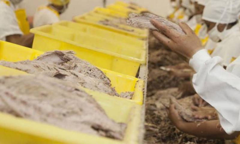 Exportaciones de Ecuador crecen pese al golpe de la pandemia / Foto: EL Comercio 