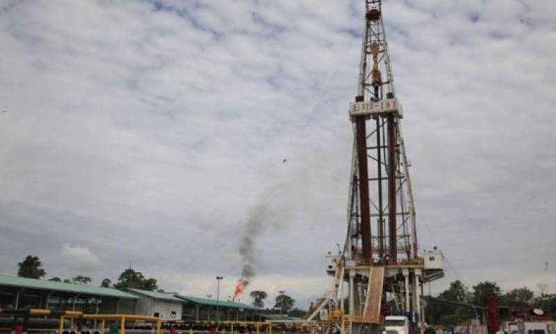 Ecuador comenzó a exportar petróleo desde 1972. Antes de ese año el crudo extraído de la Costa servía para el consumo interno Este contenido ha sido publicado originalmente por Diario EL COMERCIO en la siguiente dirección: http://www.elcomercio.com/actualidad/caida-precio-petroleo-produccion-ecuador.html. Si está pensando en hacer uso del mismo, por favor, cite la fuente y haga un enlace hacia la nota original de donde usted ha tomado este contenido. ElComercio.com Este contenido ha sido publicado originalmente por Diario EL COMERCIO en la siguiente dirección: http://www.elcomercio.com/actualidad/caida-precio-petroleo-produccion-ecuador.html