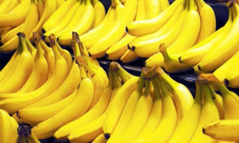 Principales noticias de Ecuador hoy - 12 de febrero de 2026 / Foto: cortesía Camae