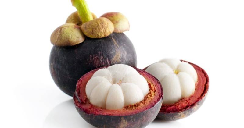 El mangostino se caracteriza por su pulpa blanca, suave y dulce / Foto: cortesía Exotic Fruit Box
