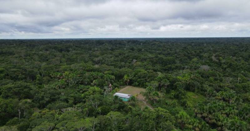 Con este financiamiento se actualiza los límites de más de 44.000 hectáreas / Foto: cortesía 