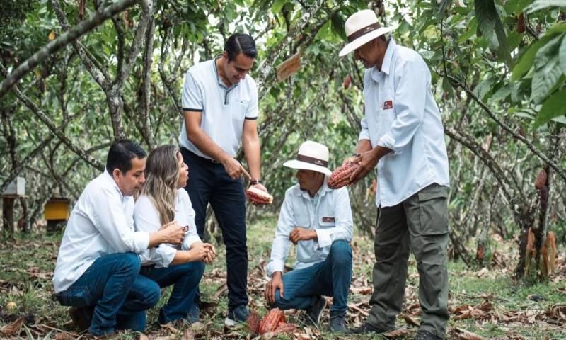 Uno de los programas centrales es Plan Cacao, que beneficia a más de 7.500 agricultores en 11 provincias / Foto: cortesía Nestlé Ecuador