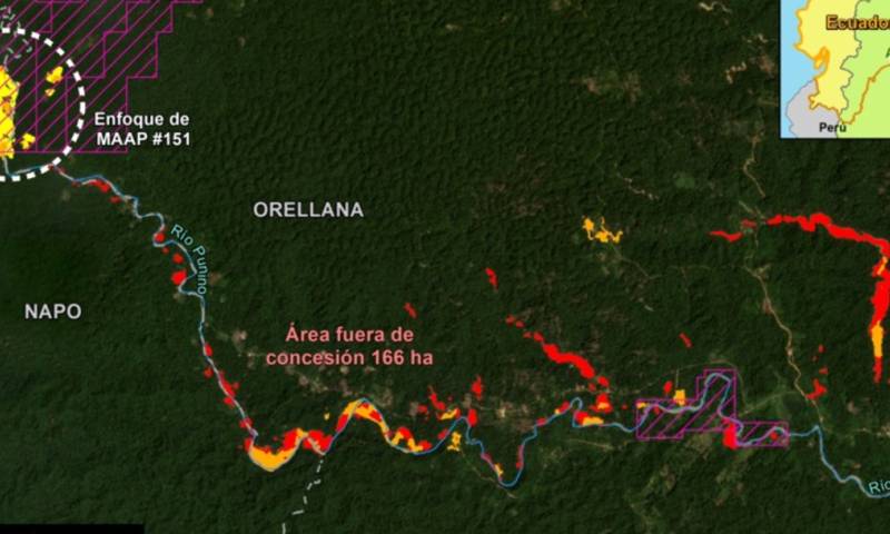 La deforestación en esta zona sufrió en 2022 un incremento del 578 % respecto a las 35 hectáreas que se habían deforestado en el periodo 2019-2021 / Foto: cortesía MAAP